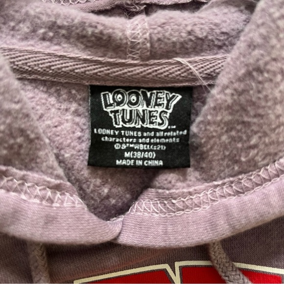 Looney Tunes Marvin the Martian Men's Mineral Washed Graphic Hoodie Size Medium - Picture 6 of 6